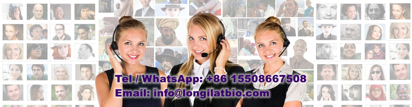 kualitas GS-441524 pabrik