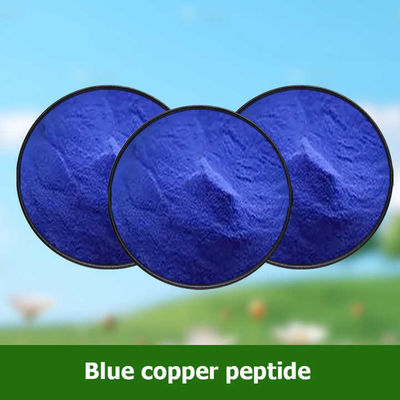 Bahan kosmetik CAS 49557-75-7 Blue Copper Peptides  Powder