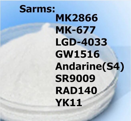 Seimbangkan Nitrogen Ostarine Mk-2866 सरम्स पाउडर GW-0742 Keuntungan Otot