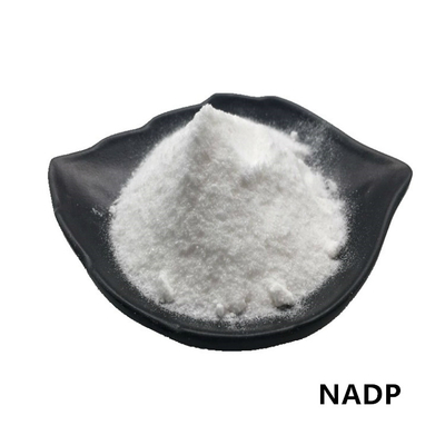 CAS 1184-16-3 Bubuk NADP 99% Beta Nicotinamide Adenine Dinucleotide Phosphate
